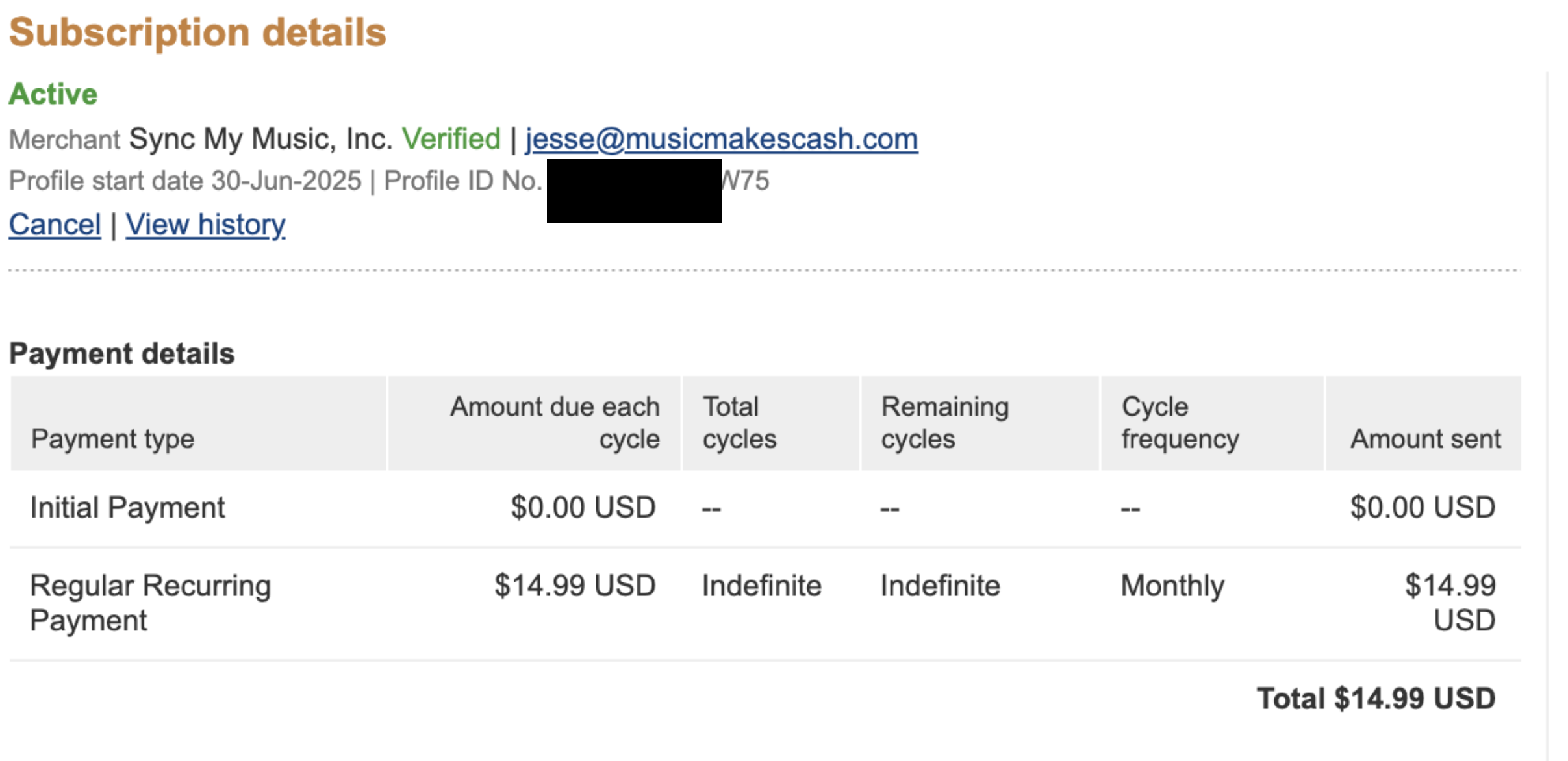 Sync Match Review - Initial Paypal Receipt